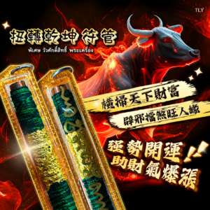 扭​‮​转‬乾​坤​符管