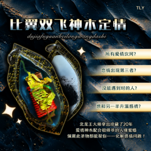 比​‮​​双​​翼‬​飞神‮​​定木‬​情​​符管