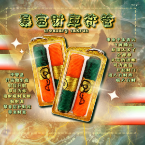 暴富财库符管