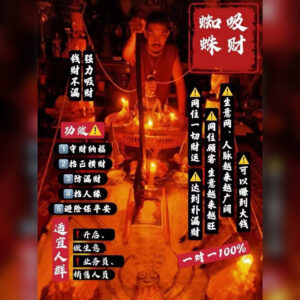 天罗地网锁财魅力一身蜘蛛精