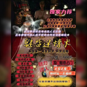 魅惑迷情术
