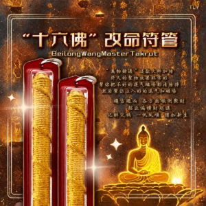 十六佛终极改命符管