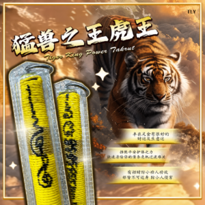 猛兽之王 - 虎王符管