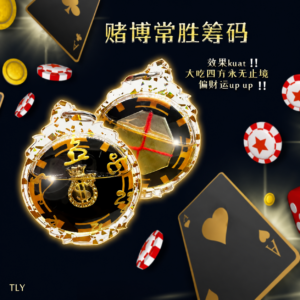 赌场​常胜筹码 ​
