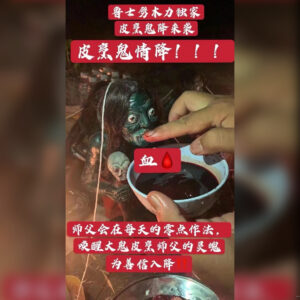 皮烹鬼情降