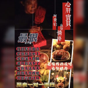 血祭情降心肝宝贝
