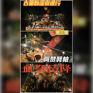 ‬血祭情降