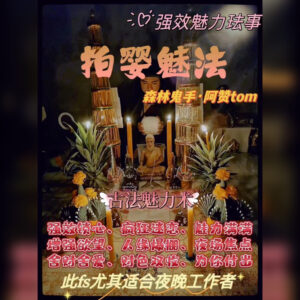 帕婴魅法