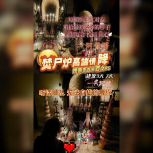 焚‮炉尸‬高端情降